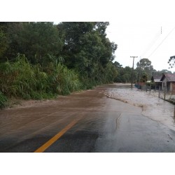Temporal atinge Campo Largo e causa transtornos